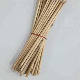 Bamboo Sticks Bunch