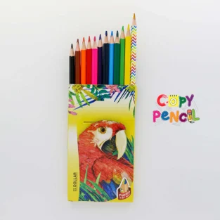 Dollar Pencil color (Full 12pcs)