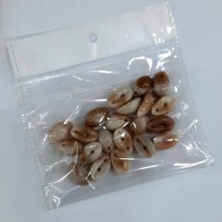 Natural Sea Shells Beads for Art & Decoration Pack
