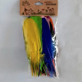 Multi Colored Craft Feathures Set for Art, Decoration & Projects