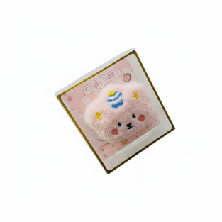 Premuim littleTeddy Bear  Diary in Box for Kids
